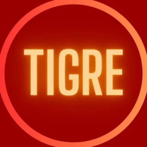 Tigre Agency. Maximiza el potencial de ganancias de tu Onlyfans